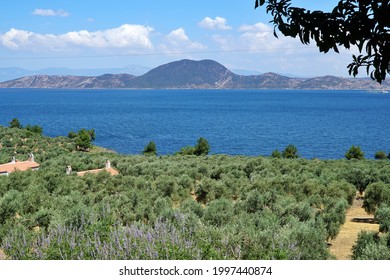 View Of Bafa Lake In Bodrum District Of Turkey.