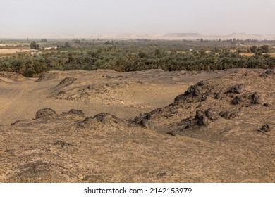 View Of Bahariya Oasis, Egypt