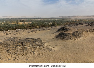 View Of Bahariya Oasis, Egypt