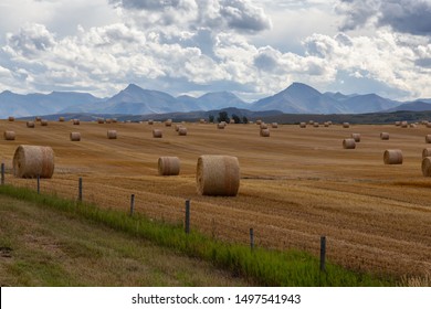 View of Bales of Hay in a farm field during a vibrant sunny summer day. Taken near Pincher Creek, Alberta, Canada.
