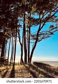 view of the baltic sea