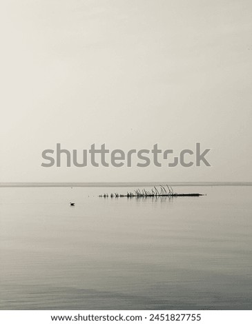 Similar – Image, Stock Photo Little is sea Calm Ocean