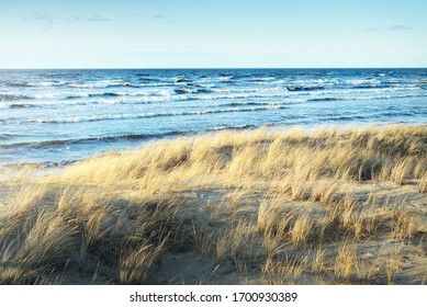 A view the Baltic sea shore at sunset. Sand dunes and plants close-up. Clear blue evening sky. Waves and water splashes. Idyllic seascape. Latvia - Powered by Shutterstock