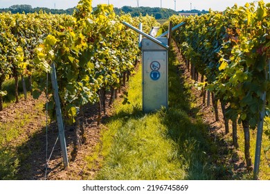 View Of A Bang Device To Scare Away Birds In The Vineyards Of Rheinhessen - Germany