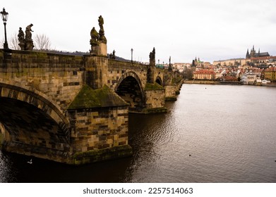 A view from the bank of the Vltava to the Charles Bridge, the Old Town Bridge Tower and other monuments of Prague, with swans swimming on the river on a cold winter day