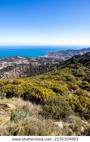 View of Banyuls-sur-Mer and Côte Vermeille on the shores of the Mediterranean from the Massif des Albères (Occitanie, France)