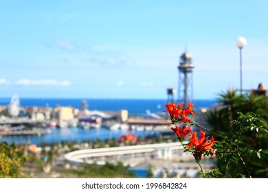 View From The Barcelona Cable Car