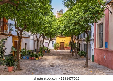 View of the Barrio de Santa Cruz in Seville, Spain