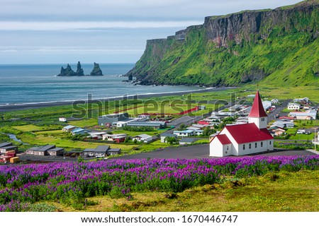 View of basalt stacks Reynisdrangar, black sand beach near Vik and violet lupine flowers and lonely church, South Iceland