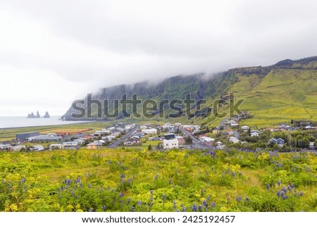 View of basalt stacks Reynisdrangar, black sand beach with violet lupine flowers  - Vik city, South Iceland