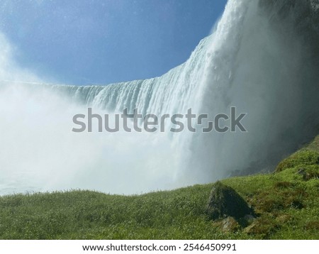 Similar – Foto Bild ganz schön hoch Natur