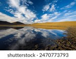 View of Bashang high plain,Neimenggu, China, famous, travel, landmark