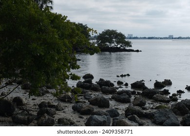 View  of bay on bayside at Jungle Prada de Narvaez Park looking south in St. Petersburg, Florida on a sunny day. Rocks on the shoreline. Green bushes on left. Blue sky with white clouds and calm water