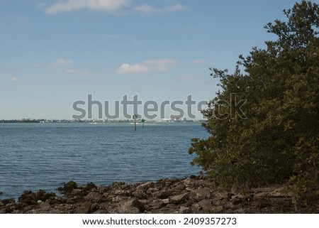 View  of bay on bayside at Jungle Prada de Narvaez Park looking west in St. Petersburg, Florida on a sunny day. Rocks on the shoreline. Green bushes on right. Blue sky with white clouds and calm water