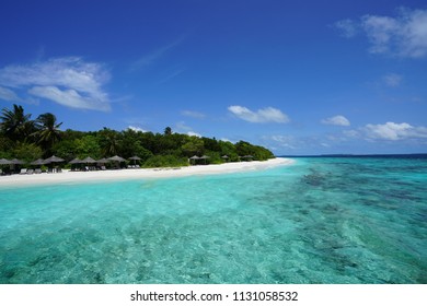 View Of A Beach At Baa Atoll, Maldives