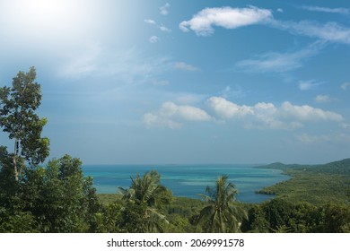 the view of the beach and the blue sky behind the lush forest, the seaside, the view from a height above the sea, some coconut trees can be seen               