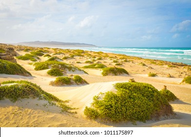 View Of Beach In Boa Vista, Cape Verde