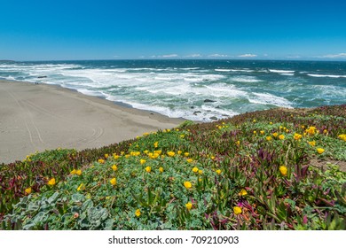 View Of The Beach From The Cliff. Beautiful Blue Sea. Incredible Landscape Of The Coast. Sonoma Coast State Park, California, USA