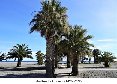 View From The Beach At Motril ,spain