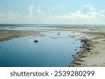 View from the beach at Oyster Bay during the tide ebb