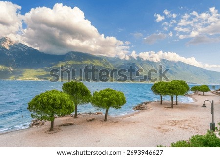 View of a beach and pine trees on the shore of Lake Garda near Limone sul Garda, Lombardy, Italy. Blue water and mountains of the Alto Garda in the background