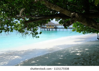 View Of The Beach Through Trees At Baa Atoll, Maldives