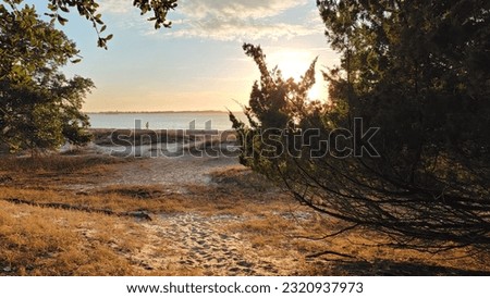 View of the beach through the trees at sunset at Fort Clinch State Park