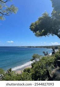view of beach with trees