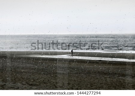 Similar – Image, Stock Photo Sparkling Beach