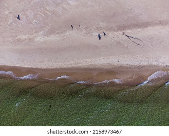 view of the beaches from the drone