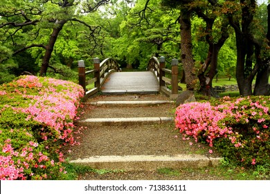 Hamarikyu Gardens High Res Stock Images Shutterstock