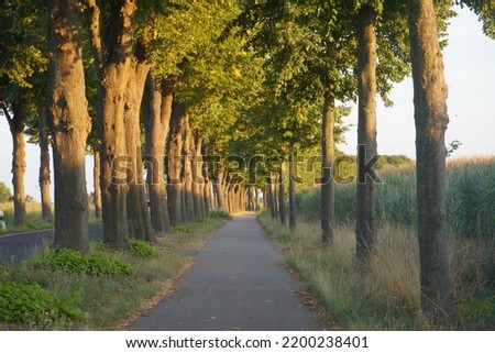 View of beautiful bicycle paths parallel with local road and a line of Tress in countryside of Germany