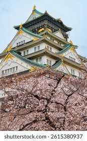 View of the beautiful cherry blossoms in spring at Osaka Castle Park in Osaka, Japan.