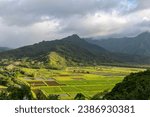 View of the beautiful Hanalei Valley from the Hanalei Valley Lookout in Princeville, Kauai, Hawaii, United States. 
