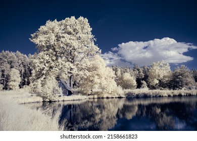 A View Of A Beautiful Lakeshore In Winter With Trees And Grass Covered With Frost Under The Blue Sky And A Small House