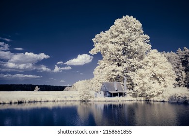 A View Of A Beautiful Lakeshore In Winter With Trees And Grass Covered With Frost Under The Blue Sky And A Small House