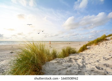 View to beautiful landscape with beach and sand dunes near Henne Strand, North sea coast landscape Jutland Denmark - Shutterstock ID 1660508962