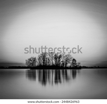 view of beautiful leafless trees natural perspective in dark tones relaxing nature outdoors in black and white colors a pond or lake