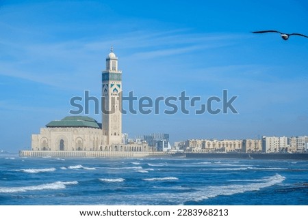 View of the beautiful mosque Hassan 2, and a seagull flying in Casablanca Morocco
