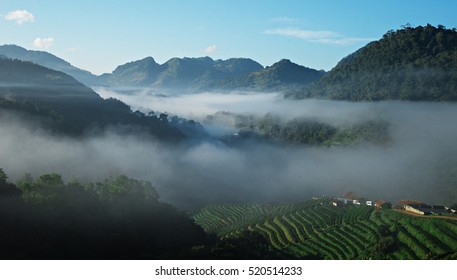 View Of Beautiful Sea Of Cloud Between A Mountain And Hill Tripe Village In Thailand, Beautiful Nature In A Winter Of South East Asia,Holiday In Asia