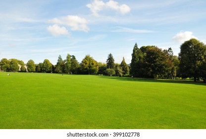 View of a Beautiful Spacious Leafy Green Park
