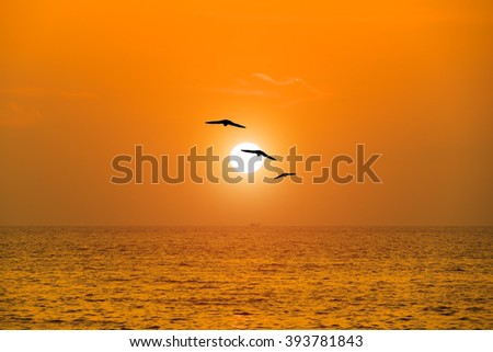 Similar – Image, Stock Photo towards the sun romantic