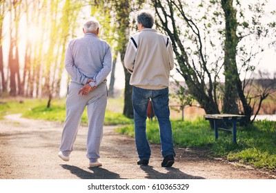 View From Behind Of An Adult Son Walking With His Senior Father In The Park.