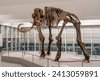 mammoth skeleton