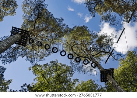 A view from below of the crowns of tall pine trees, between which walkways made of car tires and ropes are strung. A rope park for children.