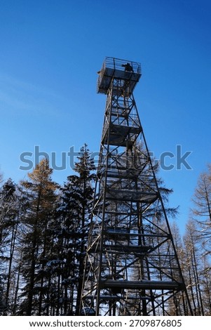 View from below of the observation tower in the Hils near Delligsen in Lower Saxony, Germany