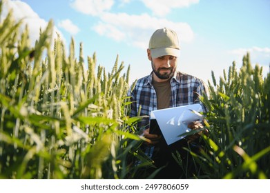 View from below. Sitting and checking quality of the wheat. Handsome young man is on agricultural field.