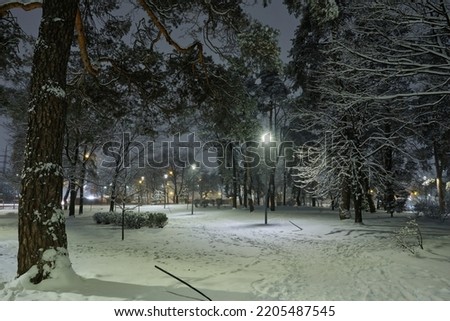 View of bench against christmas tree and shining lantern through snowing. Night shot.