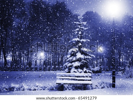 View of bench against christmas tree and shining lantern through snowing. Blue tone. Night shot.