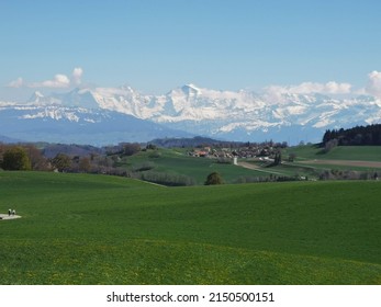 View Of The Bernese Alps From Gurten, Canton Of Bern.